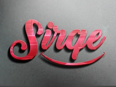 logo 13