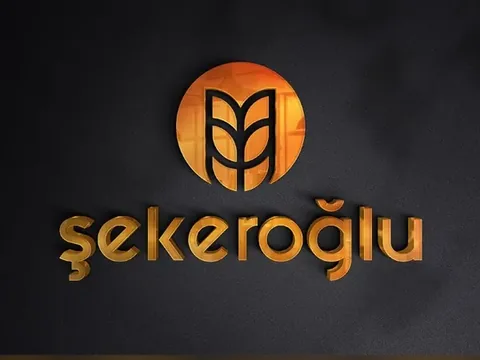 logo 17