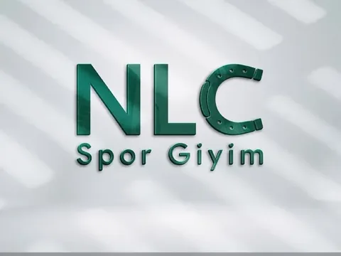 logo 29