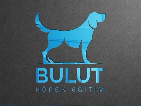 logo 79